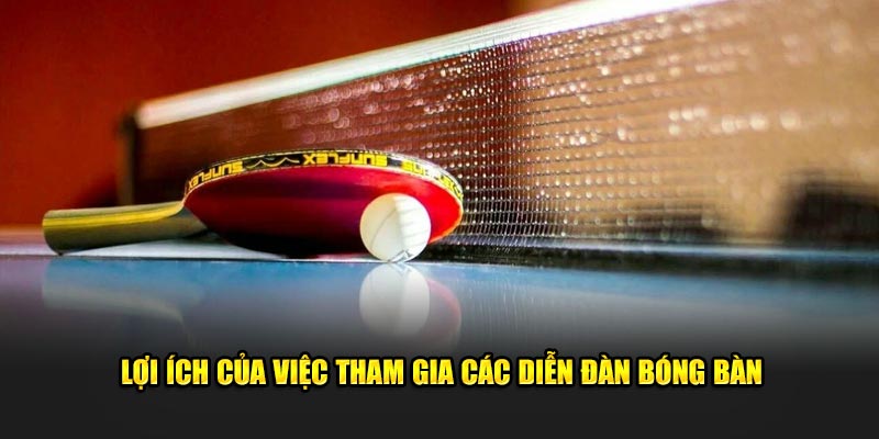 Lợi ích của việc tham gia các diễn đàn bóng bàn