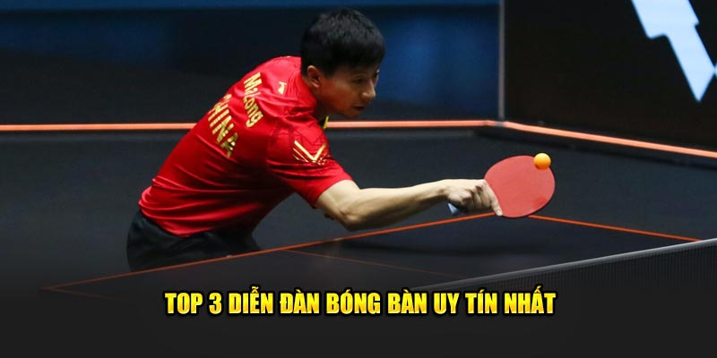 Top 3 diễn đàn bóng bàn uy tín nhất